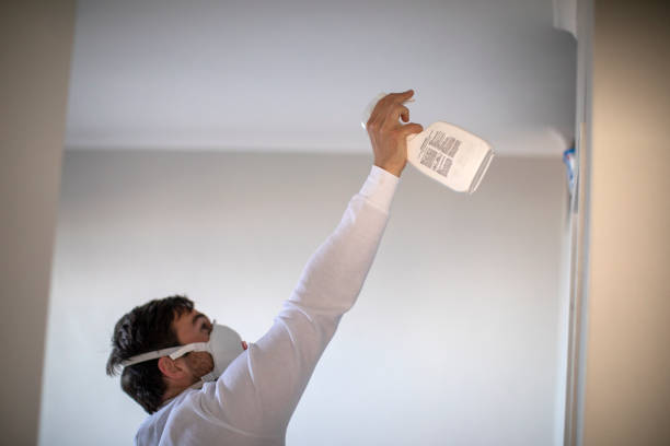 Best Toxic Mold Removal  in Bulverde, TX