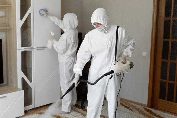 Certified Mold Removal in Bulverde, TX